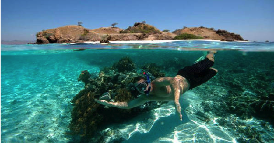 Deep Sea Snorkel Gili Islands