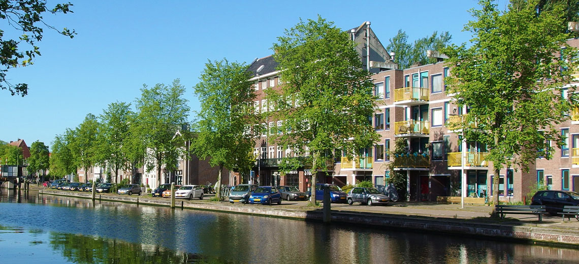 Oud Zuid Amsterdam Neighborhood Photo