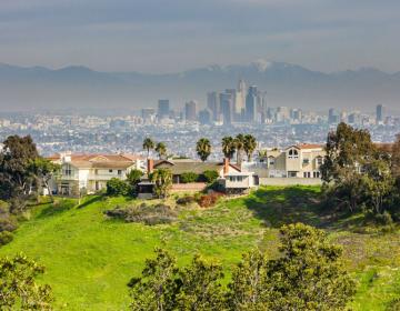 Baldwin Hills, Los Angeles Neighborhood Photo
