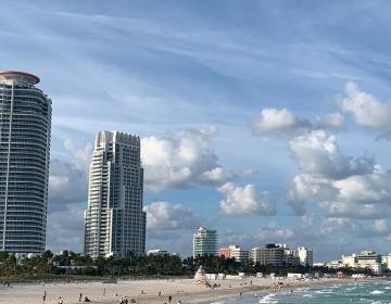 Miami, FL City Guide
