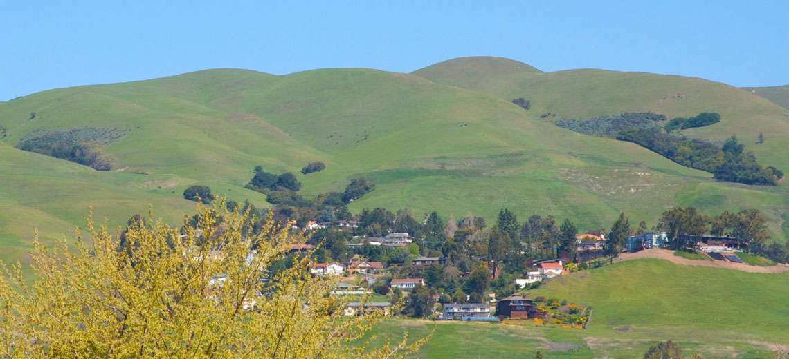 Milpitas Silicon Valley Neighborhood Photo