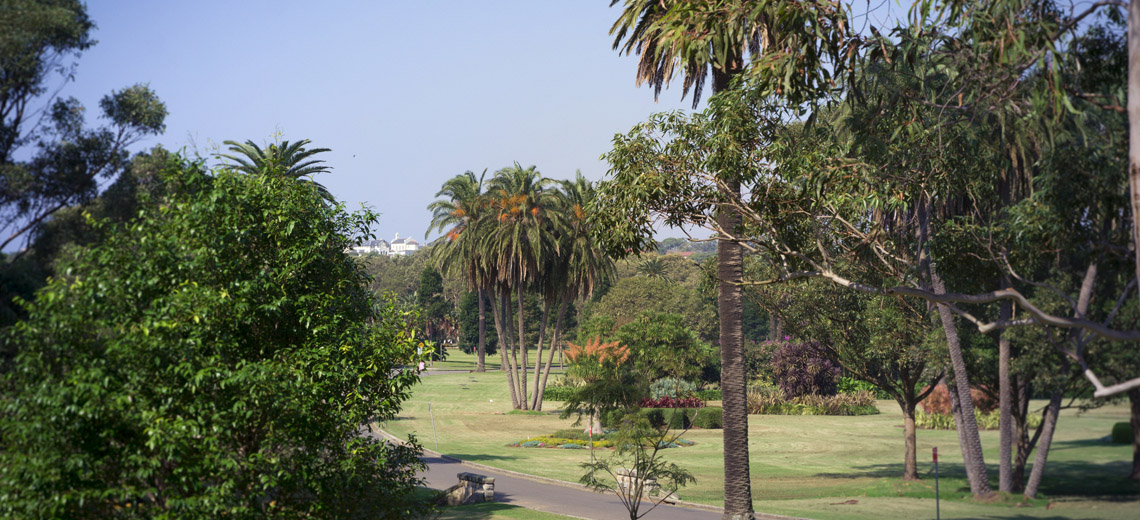 Centennial Park Sydney Neighborhood Photo